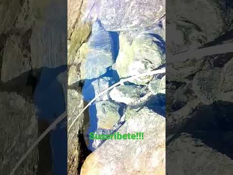 Agua de vertientes Merlo san Luis Argentina