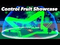 Blox Fruits Control Fruit Showcase (ROBLOX)