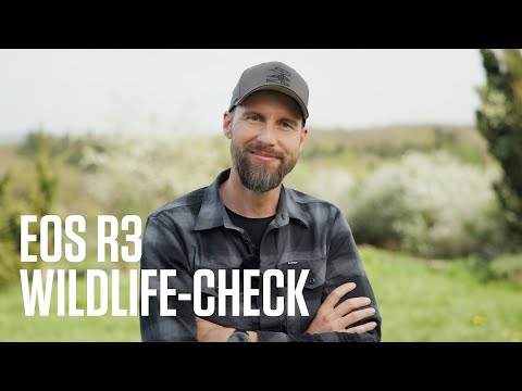 Canon Academy - Speed & Raw Check zur EOS R3: Robert Marc Lehmann