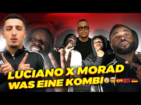 LUCIANO, MORAD - Familia German Reaction 🇩🇪 🔥