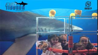 DIA 2 Expo Tiburon231