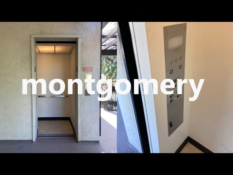 LOUD & TINY Montgomery Hydraulic Elevator - Alamo West Centre - Davis, CA