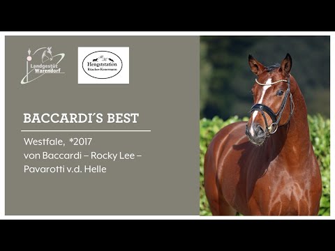 Baccardi's Best