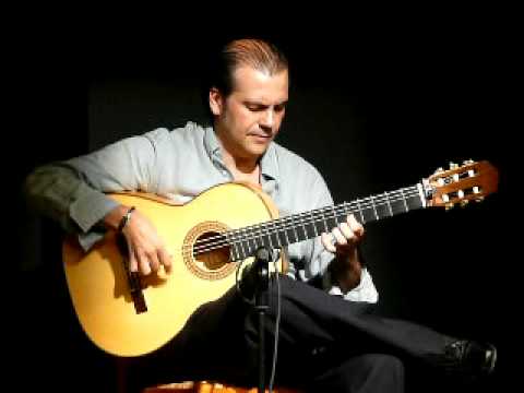 Javier Zamora, concierto.