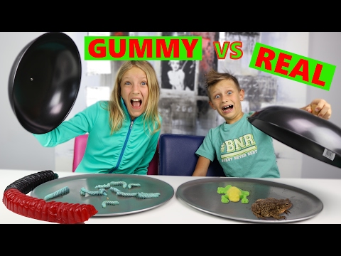 GUMMY vs REAL Video