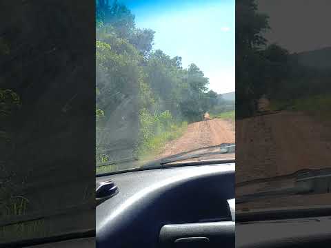 PARTIU, PARA MARIA HELENA, PR