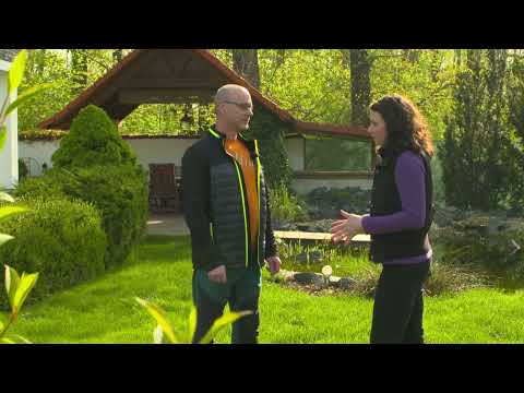 Trávník bez plevele (TRAVIN - POLOPATĚ 2024)