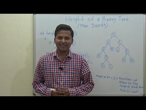 Height of a Binary Tree / Maximum depth of a binary tree Algorithm [REVISITED] Video