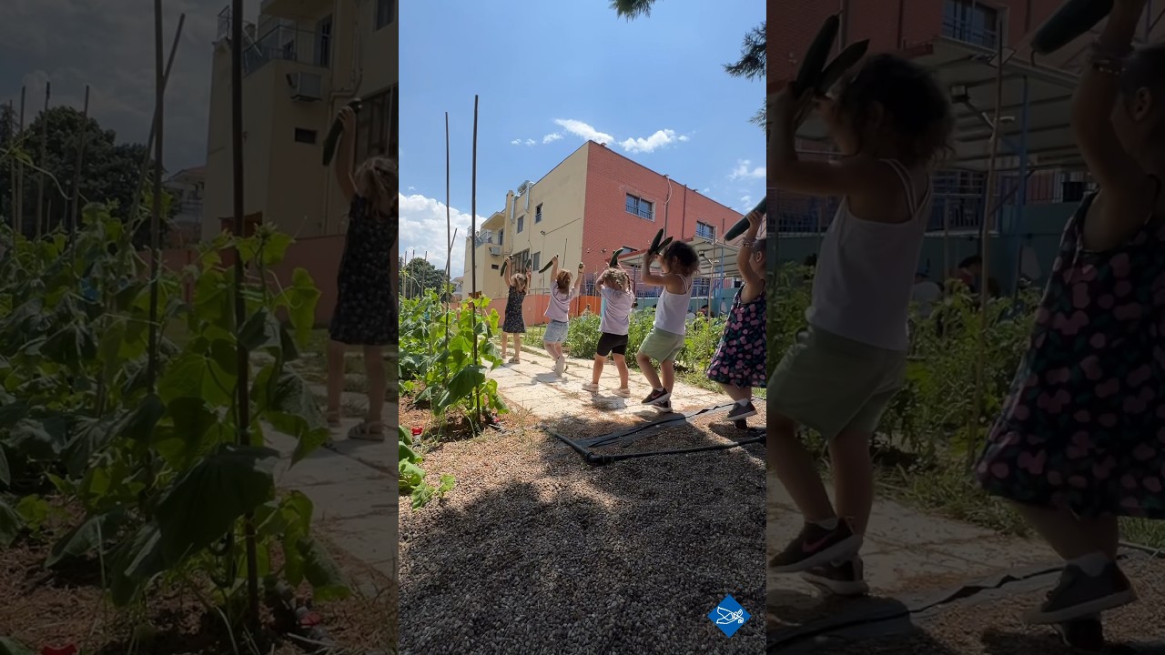 🥒 Project Αγγουράκια!