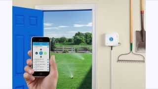 Rachio Iro Irrigation & Control4 Integration