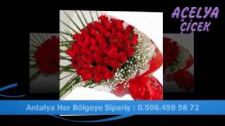 Antalya Çiçekçi  - 0506 459 5872  - Açelya Çiçek