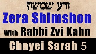 זרא שמשון חיי שרה #5 5781 - רבי צבי קאן