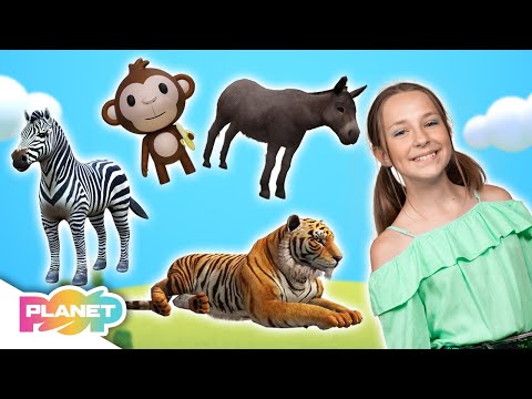Animals All Around Song | ESL Songs | English For Kids | Planet Pop | Learn English