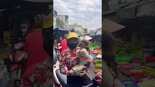 Not something you see every day! #cruisetour #mekong #dog #dogshorts #vietnam #travelwriter #hosted