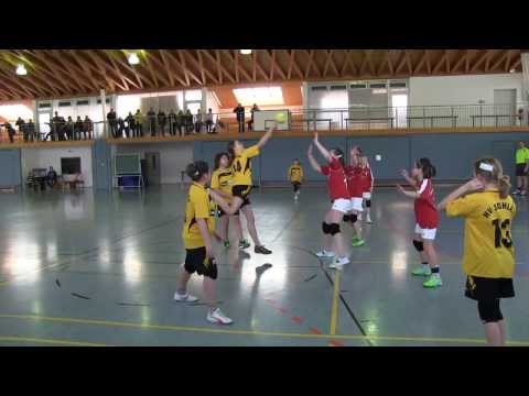 Handballspiel D - Jugend weiblich SG Cunewalde / Sohland