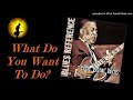 Eddie 'Guitar' Burns - What Do You Want To Do? (Kostas A~171)