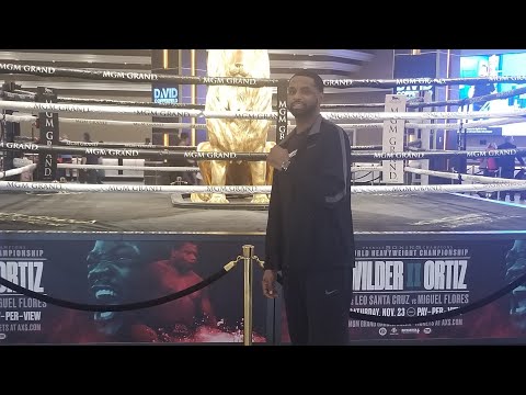 Filip Hrgovic Calls Out..& Sergey Kuzmin KO Sparring Parnter & Much More Heavyweight Boxing Talk