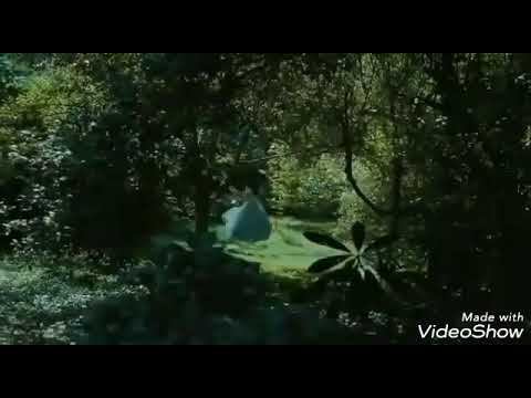 Um lugar chamado USF - Women's Tennis