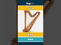 harp - arpa video thumbnail
