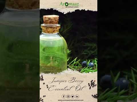 Juniper berry essential oil