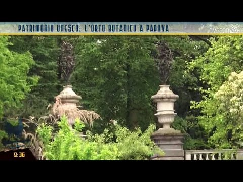 Patrimonio Unesco: l'orto botanico a Pad