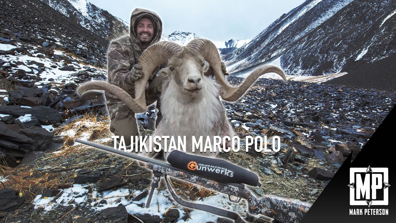 Tajikistan Giant Marco Polo Sheep