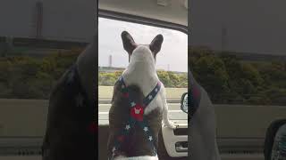 向かいの車もビックリしちゃうよ？w