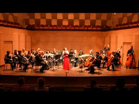 Vivaldi Piccolo Concerto in C Major (RV 443)