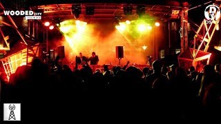 Catz ’N Dogz @ Wooded City Festival Szczecin, PL