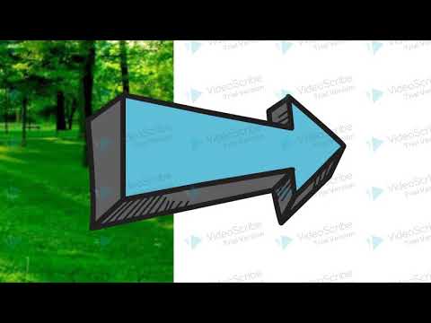 mp4 Setor Primário da Economia