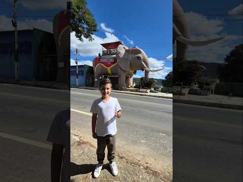 Casa Elefante 🐘 🐘 🐘 #elefante #elephanthouse #dandanemacao #minasgerais #cordisburgo #music #viral