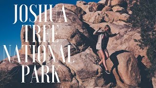 Joshua Tree...a little DISAPPOINTING... | VANLIFE