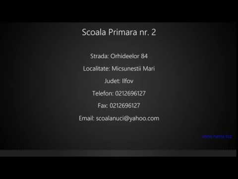 Scoala Primara nr. 2 Micsunestii Mari