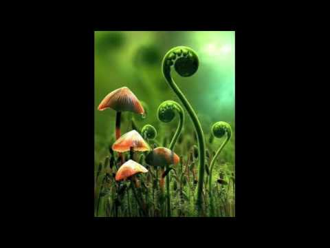 Mushrooms (Justin Martin Remix) - Marshall Jefferson