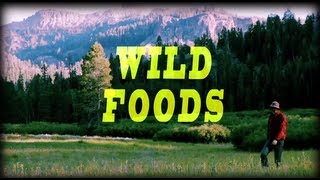 Wilderness Tips with Brett Dennen - Wild Foods