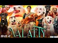 Valatty Malayalam New Full Movie 2023 | Soubin Shahir | Aju Varghese | Raveena Ravi | Review & Facts