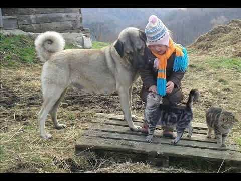 Various Artists - Buddha Bar Vol XIII (2011) & CD2 - Secret Bliss