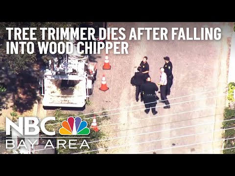 Tree Trimmer Dies After Falling Into Wood Chipper in Menlo Park