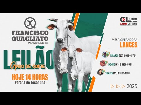 87º LEILÃO GADO DE CORTE FRANCISCO QUAGLIATO LEILÕES PARANÃ-TO 26/10/2025