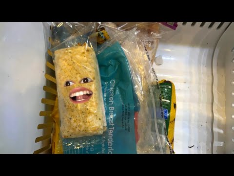 Life of A Hot Pocket