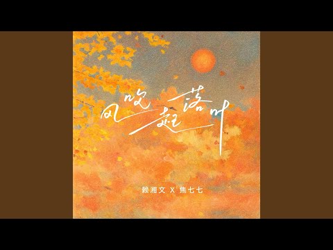 风吹起落叶（电子DJ版） (Remix)