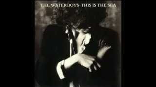 Waterboys - Old England