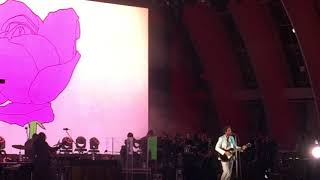 Please Don&#39;t Die - Father John Misty at the Hollywood Bowl