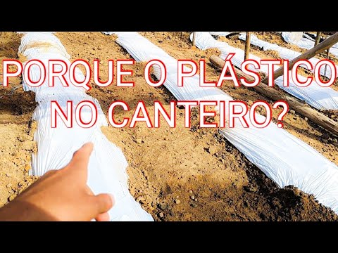 , title : 'PORQUE OS PLASTICOS NOS CANTEIROS ?'
