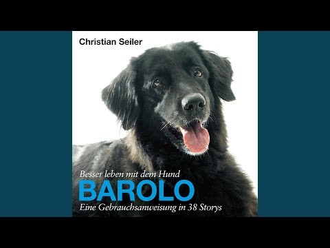 Mein Auto gibts jetzt auch in Terracotta