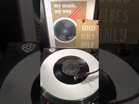 The Four Tops - I Can’t Help Myself ( Vinyl 45 ) From 1965 .