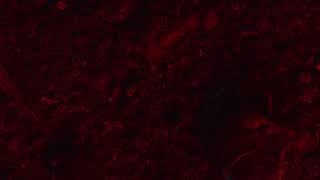 RESET Intro Clip