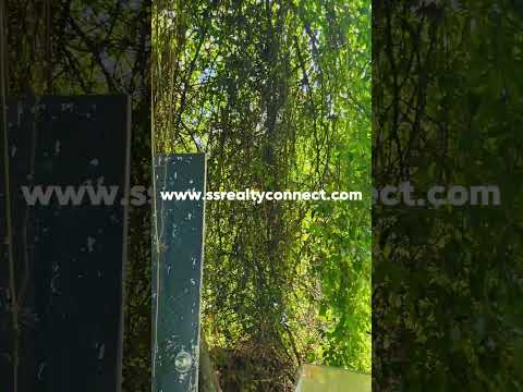 ขายที่ดินถนนสุขุมวิท ย่านปรีดีพนมยงค์ 348 ตร.ว. คลองตันเหนือ วัฒนา – รูปที่ 2