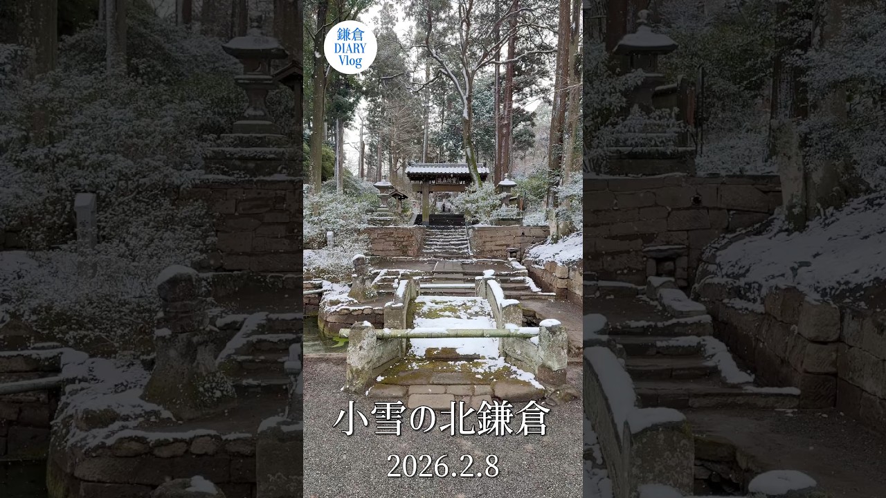 小雪の北鎌倉 2026年2月8日