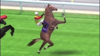 [問卦] 馬術到底是人還是馬在比啊？